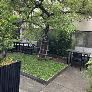 کافه باغ در آمل مازندران | کافه باغ دژاوو چی کجاست کافه باغ در آمل مازندران | کافه باغ دژاوو کافه باغ در آمل کافه باغ دژاوو