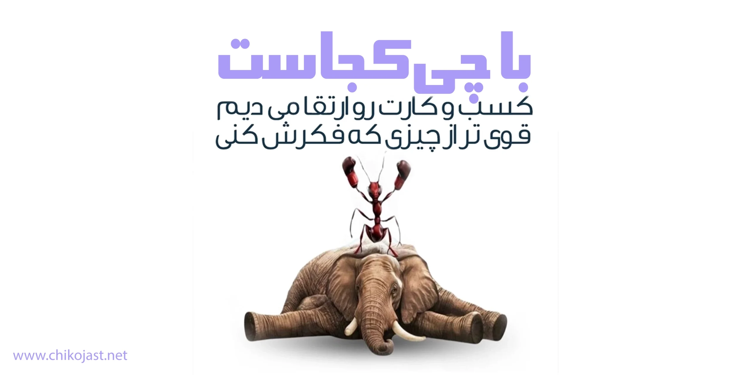 کسب و کار های چی کجاست scaled