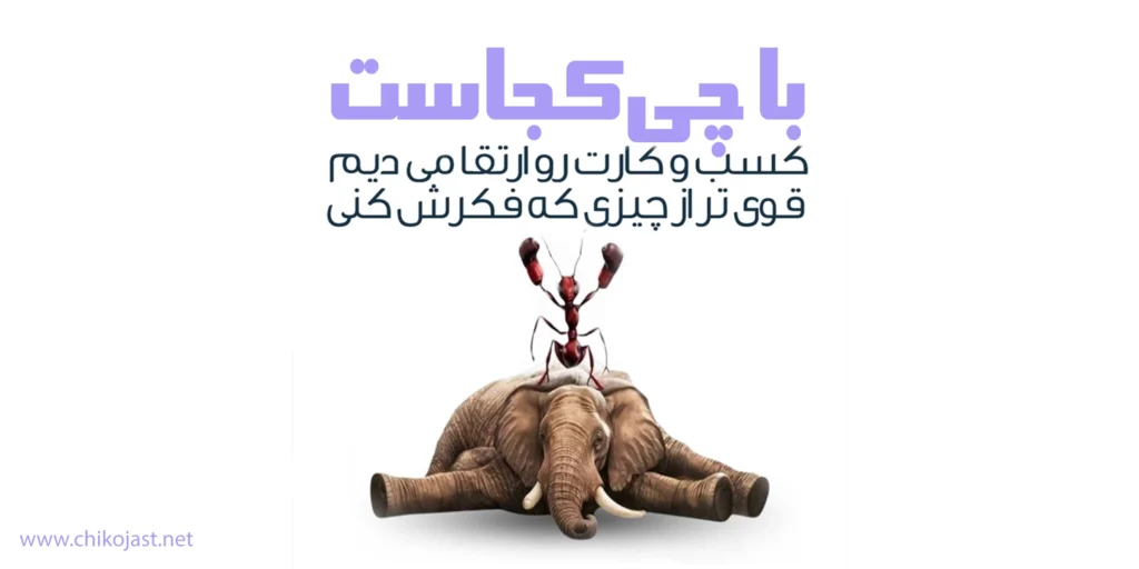 کسب و کار های چی کجاست